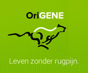Origene